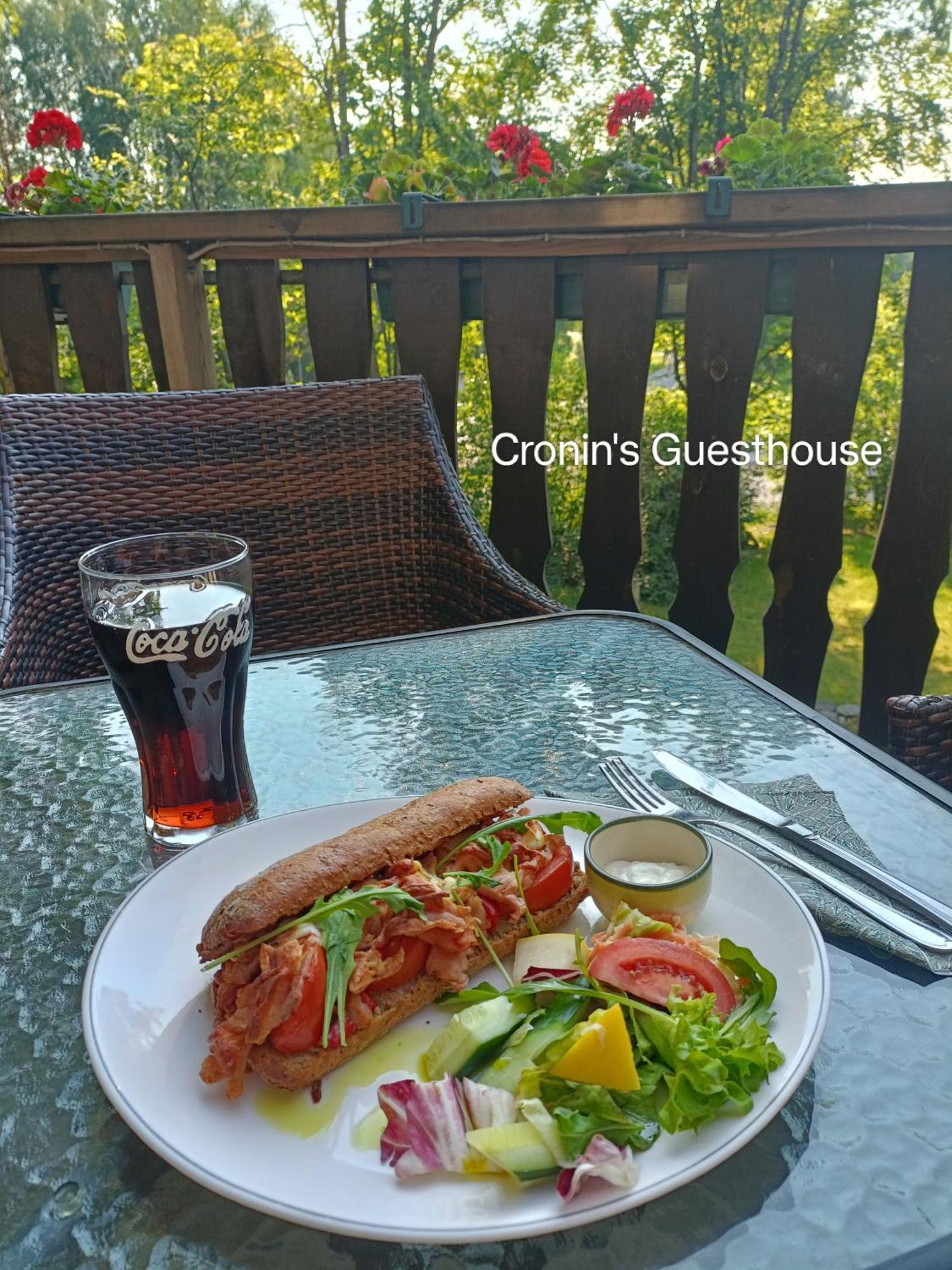 Cronin'S Guesthouse Bed & Breakfast ヘイノラ エクステリア 写真
